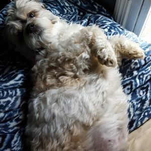 Meet your Posher, Paul